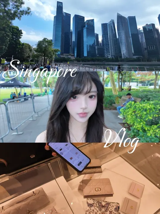 芋芋涵：新加坡 Vlog｜开学前的搬家购物准备 的视频缩略图